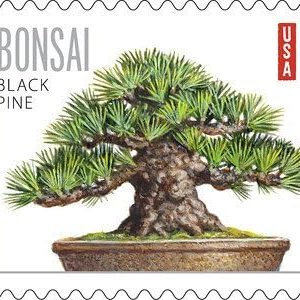 Bonsai Trees Forever Stamps