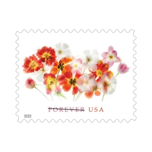 Forever Stamps 2022 Tulips – Nature Series, First-Class Postage
